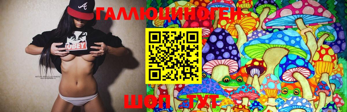 дарнет шоп  Галлюциногенные грибы Magic Shrooms  Вход с VPN  Ртищево  Псилоцибиновые грибы прущие грибы 